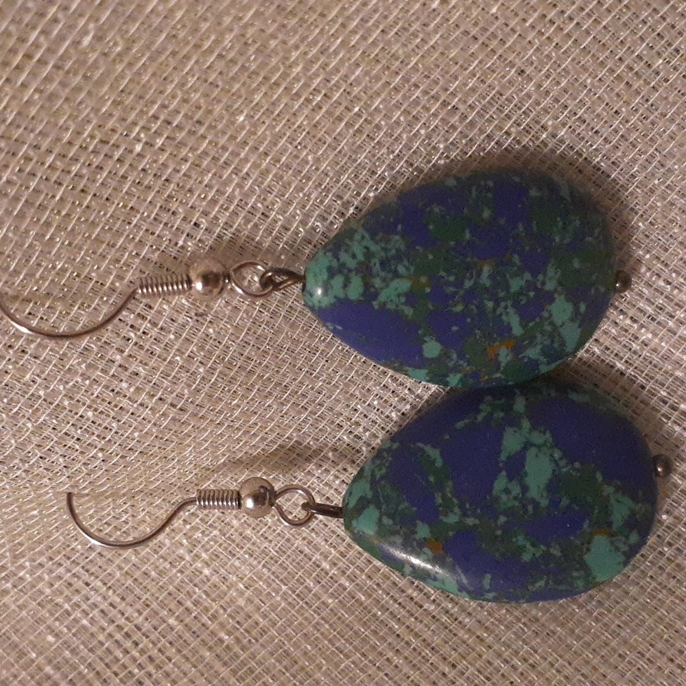 Earrings #265